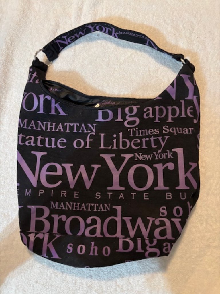 Robin Ruth Women's Medium Black/Purple New York Bag